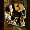 Lyrics Batavorum cd